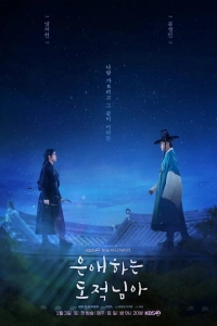 Сериал Моя любимая воровка 2026